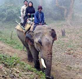 kaziranga-park