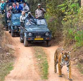 ranthambore-park